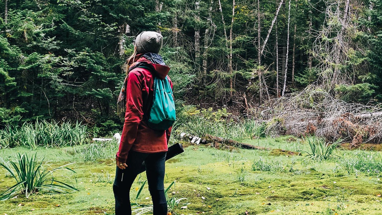 Peak Walk by Tissot - Glacier 3000